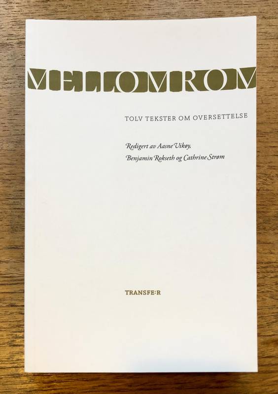 Mellomrom: Tolv tekster om oversettelse