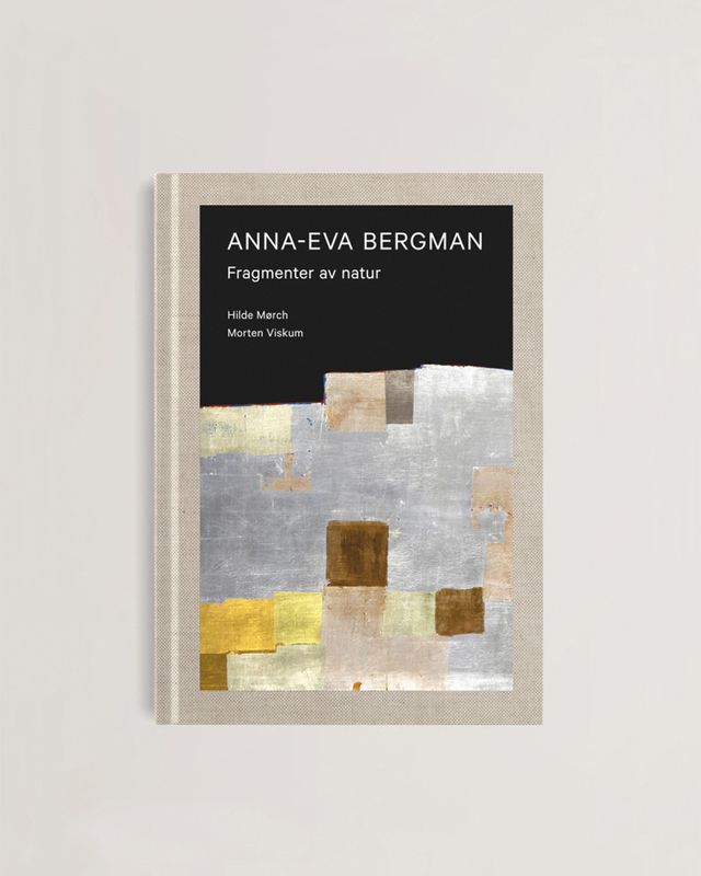 Anna-Eva Bergman – Fragmenter av natur