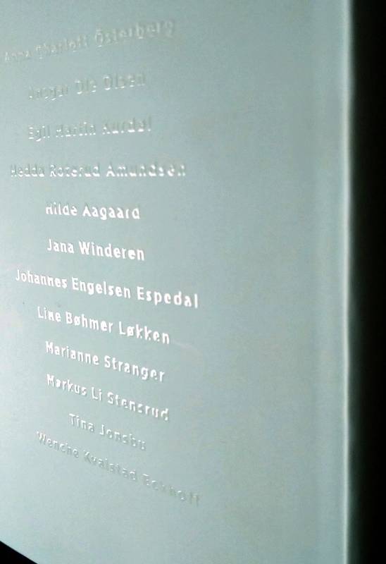 Mjøsa et kunstprosjekt - Det var jo ingen horisont der