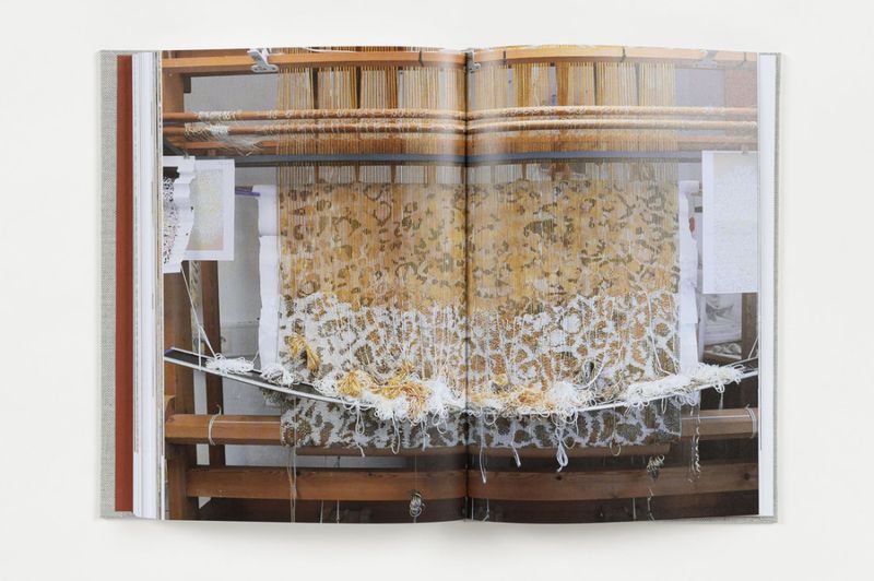 Anne Stabell - Den langsomme veien