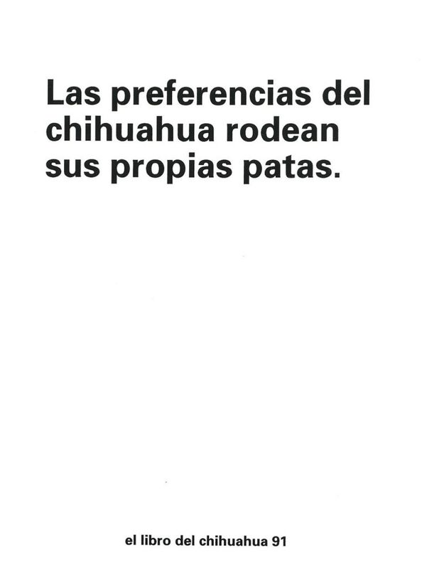 Bjarne Melgaard - Las preferencias del chihuahua rodean sus prop