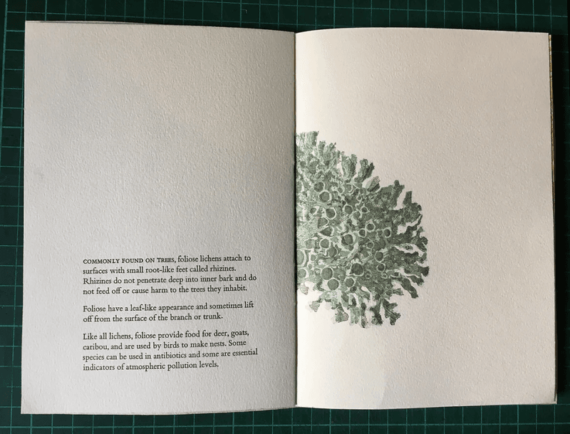 Radha Pandey - Algal/Fungal