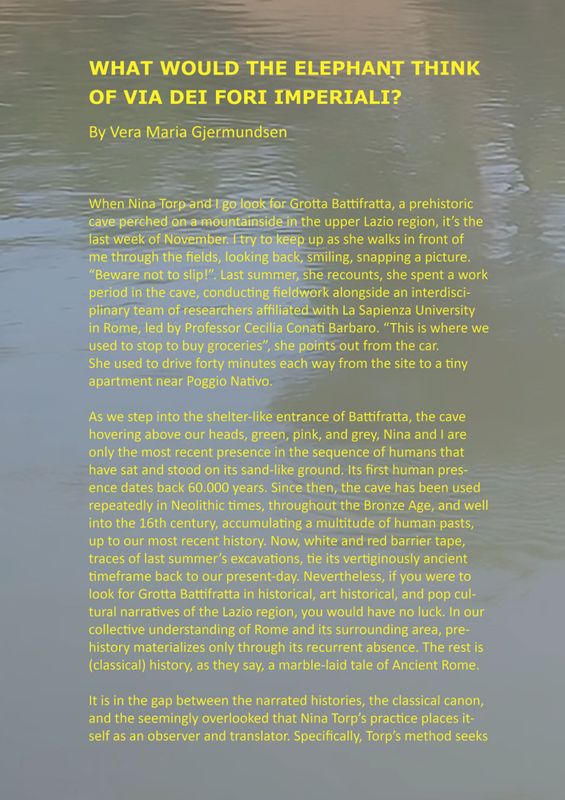 Nina Torp - THE WATER, THE FLOOD, THE YELLOW, THE CAVE